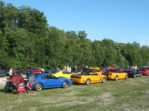 1985 Ford Mustang - A gathering of Ford Mustangs in a scenic outdoor location under a clear blue sky.