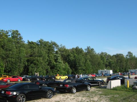 1985 Ford Mustang - A collection of Ford Mustangs, including several convertibles, are parked together under a clear blue sky.