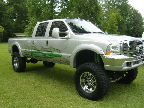 2007 Ford Mustang - A lifted silver pickup truck with custom dragon graphics is parked on a grassy lawn.