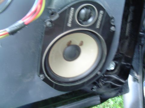 1999 Ford Taurus - A close-up view of a car door speaker assembly, identified by Pioneer branding.