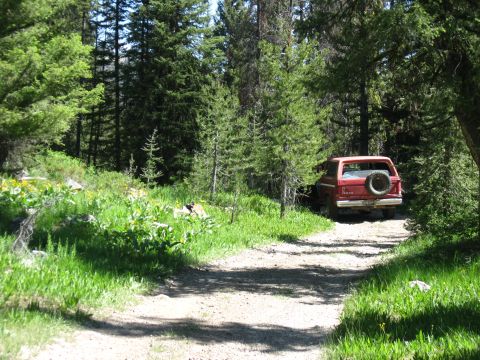 1981 Ford Bronco - A red SUV is parked on a dirt road surrounded by trees and greenery.