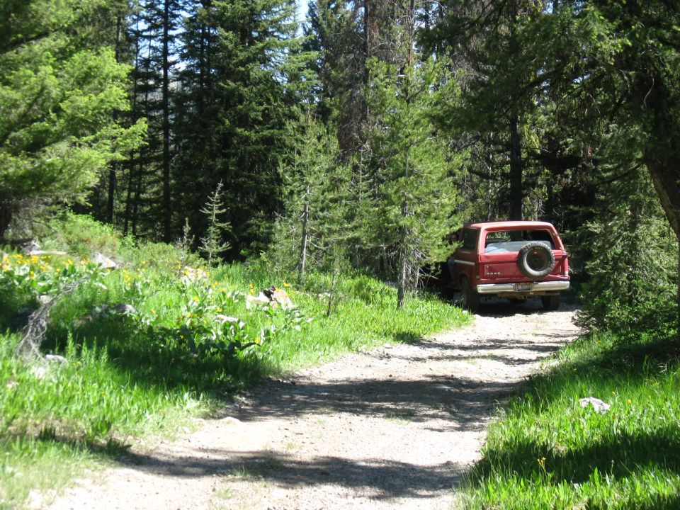 Red SUV parked on a dirt road in a forest, spare tire mounted on the rear door