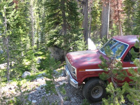 1981 Ford Bronco - A red pickup truck is parked on a rocky forest road, surrounded by trees.
