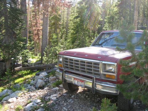 1981 Ford Bronco - A red Ford pickup truck is parked on a rough, wooded path, with sunlight filtering through the trees.