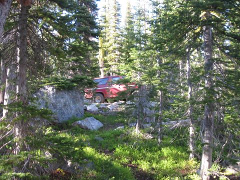 1981 Ford Bronco - A red SUV is parked in a wooded area with sunlight filtering through the trees.