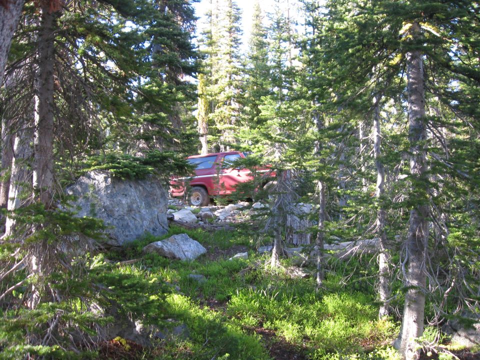 Red SUV with a white roof parked on a rocky, grassy area surrounded by pine trees