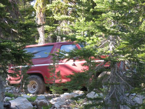 1981 Ford Bronco - Red SUV parked on rocky ground amidst trees, likely off-roading.