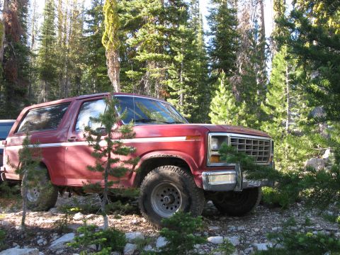 1981 Ford Bronco - A red Ford Bronco is parked off-road in a wooded area, surrounded by pine trees and rocks.