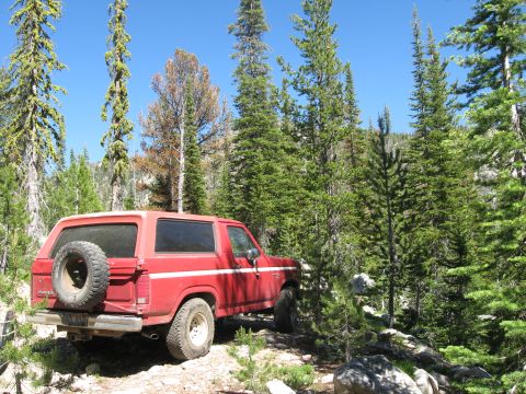 1981 Ford Bronco - Red Ford Bronco parked on a dirt road in a forest with tall pine trees.