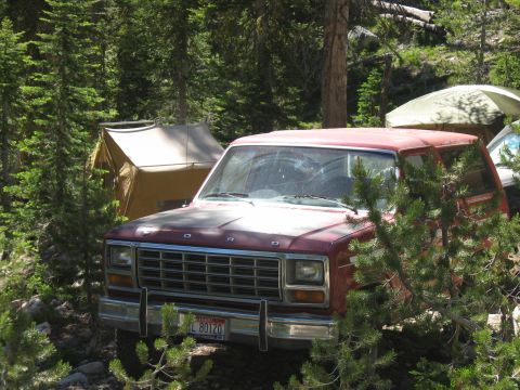 1981 Ford Bronco - A red Ford Bronco is parked in a wooded area next to a tent, with trees obscuring parts of the vehicle.