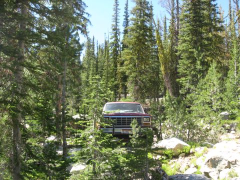 1981 Ford Bronco - A red 1980 Ford Bronco navigates a rocky path through a dense forest.