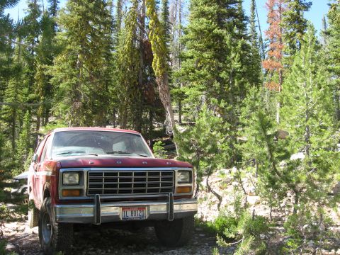 1981 Ford Bronco - Red 1980s Ford Bronco parked on a gravel road in a forest setting.