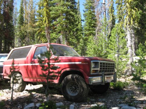 1981 Ford Bronco - A red Ford Bronco is parked off-road in a wooded area with dense pine trees and rocky terrain.