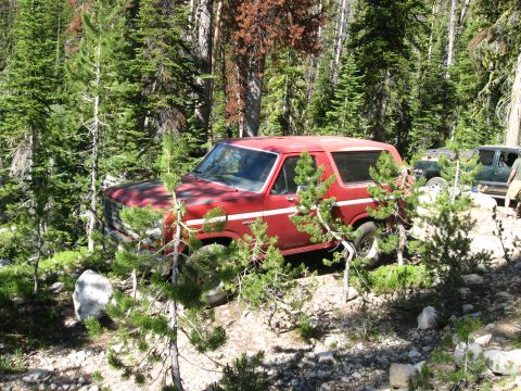 1981 Ford Bronco - A red SUV is parked on a dirt path surrounded by trees, with another vehicle in the background.