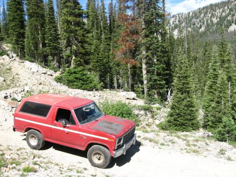 1981 Ford Bronco - This 1981 Ford Bronco navigates a dirt path through a dense forest landscape.