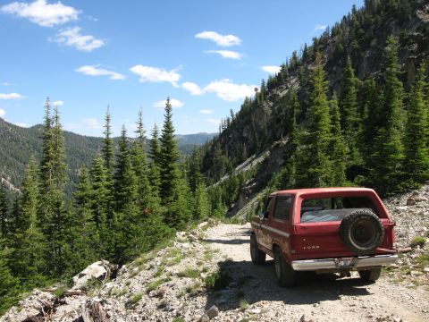 1981 Ford Bronco - A red Ford Bronco is parked on a dirt road surrounded by pine trees and mountains under a blue sky.