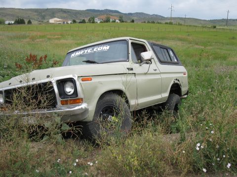 1978 Ford Bronco - This 1978 Ford Bronco is partially obscured by tall grass, with a sticker on its windshield.