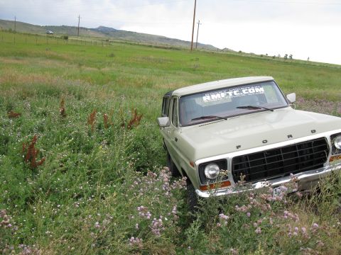 1978 Ford Bronco - 1978 Ford Bronco sits in a grassy field, a "RMFTC.COM" sticker visible on its windshield.