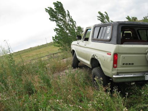 1978 Ford Bronco - A tan 1978 Ford Bronco with a black hardtop is parked off-road, showing damage to its rear fender.