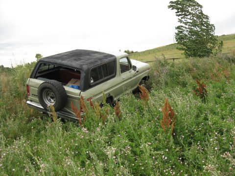1978 Ford Bronco - A 1978 Ford Bronco sits in a field of tall grass, its light green exterior and black top contrasting with the overgrown surroundings.