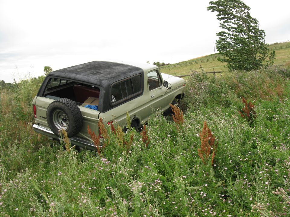 1978 Ford Bronco 3q-front view, light green with black top, parked in tall grass