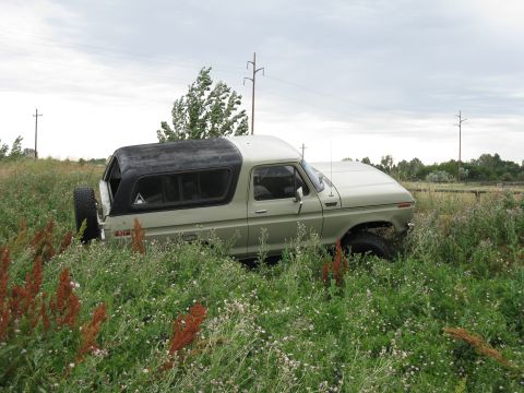 1978 Ford Bronco - 1978 Ford Bronco with a black camper shell sits in a field of tall grass under an overcast sky.