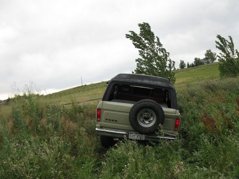1978 Ford Bronco - A 1978 Ford Bronco is parked on a grassy hill, partially obscured by tall weeds.