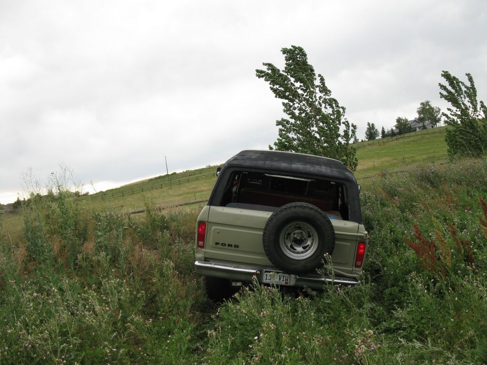 1978 Ford Bronco parked on a grassy hill with trees and a house in the background