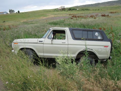 1978 Ford Bronco - A tan 1978 Ford Bronco sits in a field of tall grass under a cloudy sky.