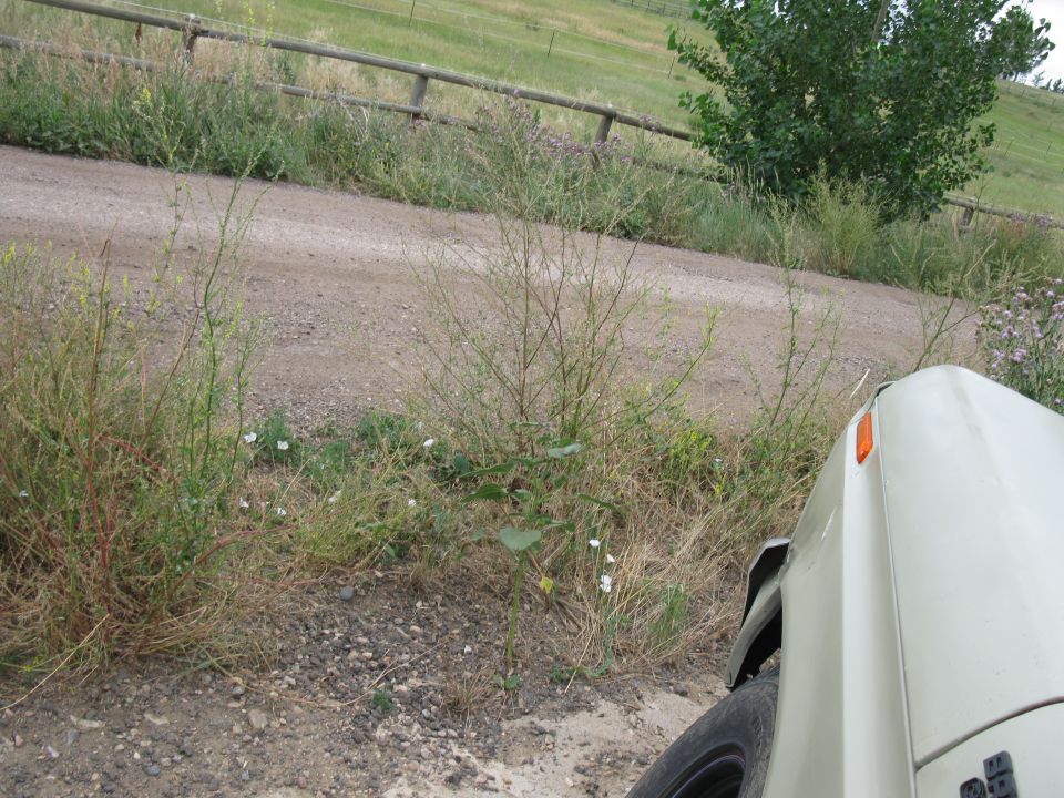 Close-up of a light-colored vehicle fender and headlight assembly, with a dirt road and grassy hillside in the background. Watermark reads SUPERMOTORS