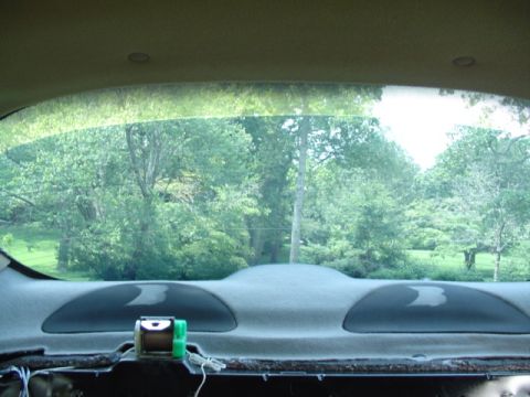 1999 Ford Taurus - Looking out the back window of a car at a tree-filled yard, with the car's interior rear deck in the foreground.