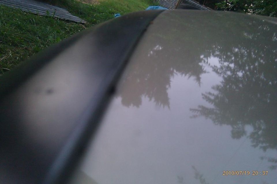 Light-colored car hood with a dark trim piece, reflecting trees