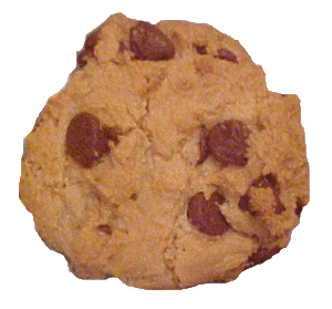 1986 Ford Bronco - A close-up view of a single chocolate chip cookie.