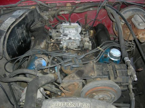 1979 Ford Bronco photo