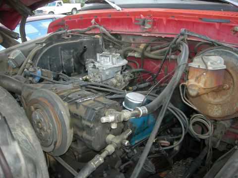 1979 Ford Bronco photo