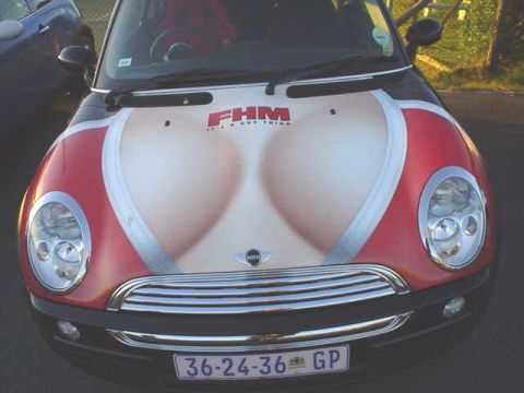 1997 Ford Taurus - This Mini Cooper features a provocative graphic on its hood, accompanied by a license plate that humorously references measurements.