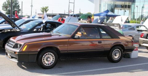 1980 Ford Mustang - A brown 1980 Ford Mustang coupe with a gold stripe is parked at an outdoor event.
