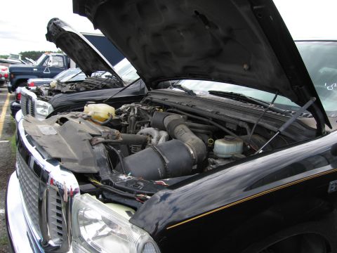 2001 Ford Crown Victoria - Multiple trucks are parked with their hoods open, revealing their engines and engine bays.