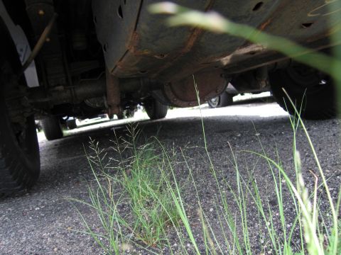 2001 Ford Crown Victoria - Low-angle shot of a vehicle's undercarriage, focusing on the drivetrain and suspension components.