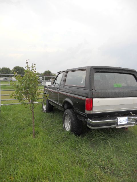 1988 Ford Bronco - Rear view of a black 1988 Ford Bronco parked in a grassy field next to a fence.