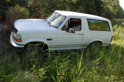 1994 Ford Bronco - This 1994 Ford Bronco is seen parked off-road, partially obscured by tall grass and foliage.