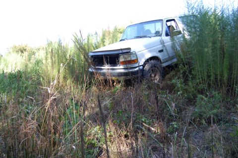 1994 Ford Bronco - A white Ford Bronco is partially obscured by tall weeds and brush, with its front grille damaged.