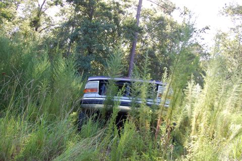 1994 Ford Bronco - This 1992 Ford Bronco is nearly consumed by vegetation, with a tree trunk piercing its roof.