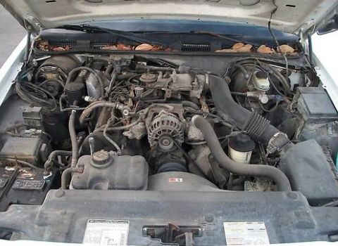 1999 Ford Crown Victoria photo