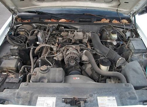 1999 Ford Crown Victoria engine bay with V8 engine, alternator, and air intake