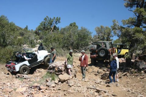 1991 Ford Bronco - People gather around multiple off-road vehicles navigating a , sun-drenched trail.