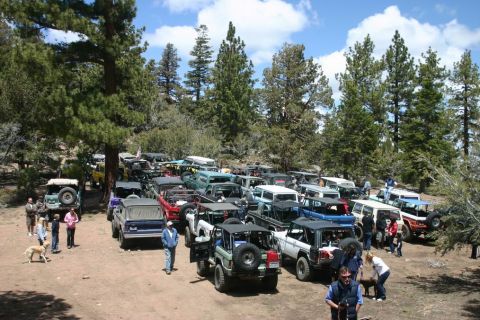 1991 Ford Bronco - A large group of off-road vehicles are gathered in a forest clearing on a sunny day.