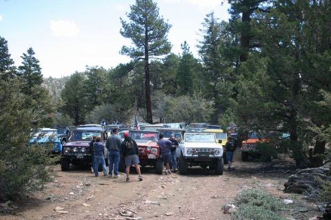 1991 Ford Bronco - A group of off-road vehicles, including a white 1978 Ford Bronco, gathered in a wooded area.