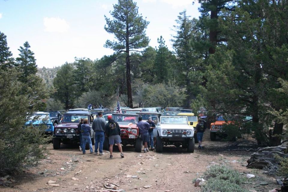 White 1978 Ford Bronco with aftermarket grille, parked on dirt road