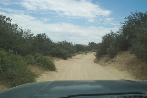 1995 Ford Bronco - Driving down a sandy, unpaved road surrounded by dense vegetation under a cloudy sky.